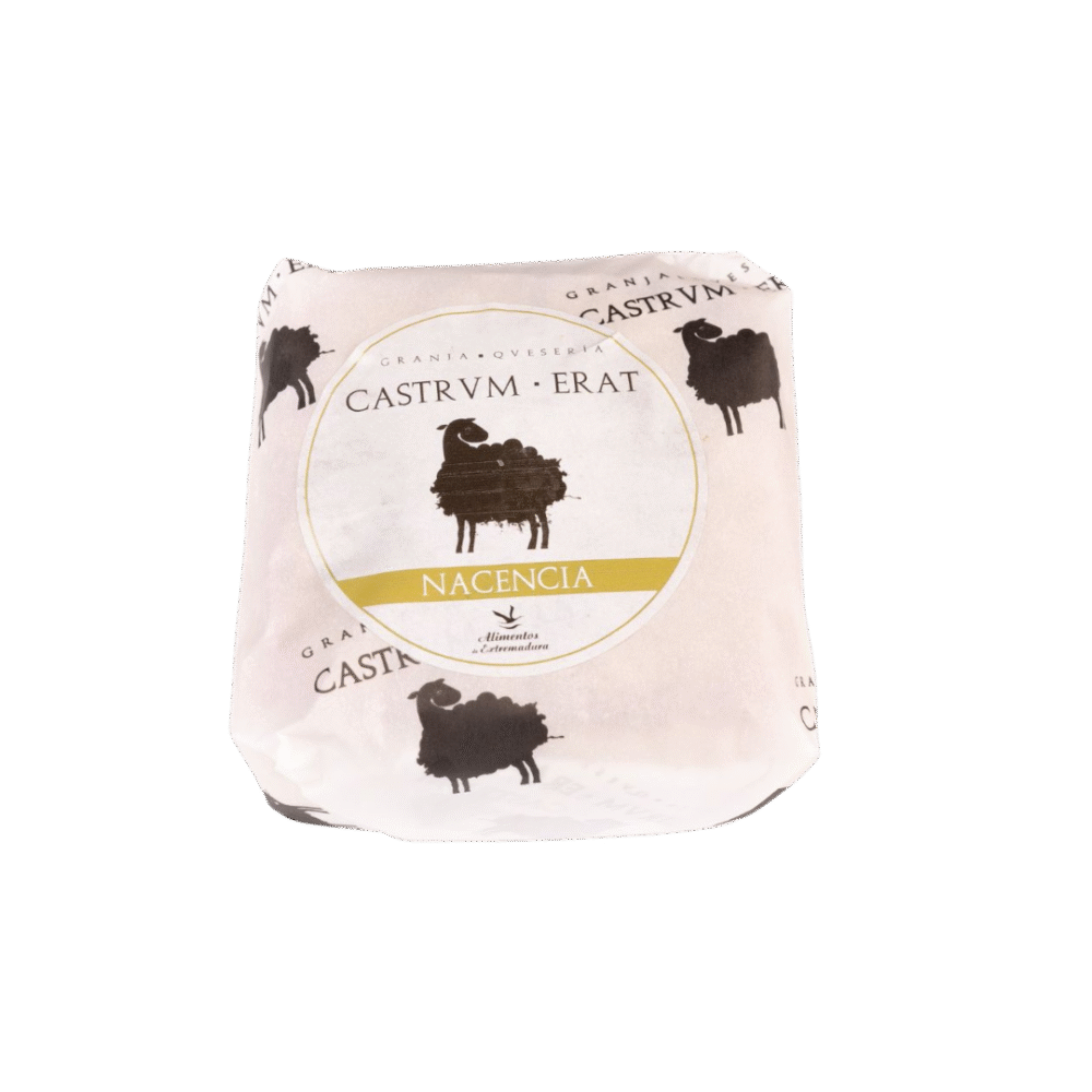 Nacencia Oveja Nacencia Oveja