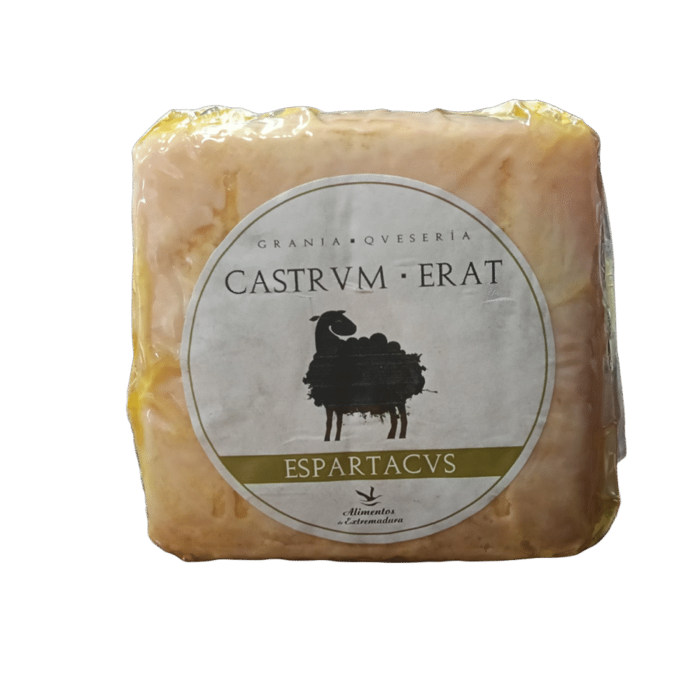 Spartacvs Oveja Spartacvs Oveja